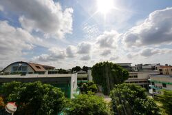 10 Shelford (D11), Apartment #339784461